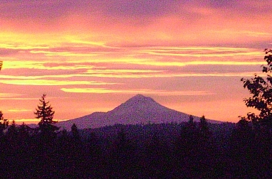 Mt. Hood, Oregon - © 2010-2023 Susan Larison Danz
